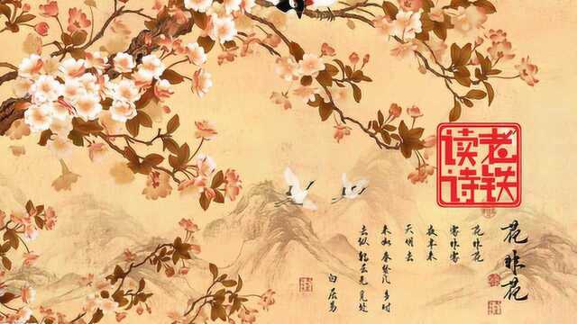 白居易《花非花》表达对人生如梦幻泡影,如雾亦如电的感慨