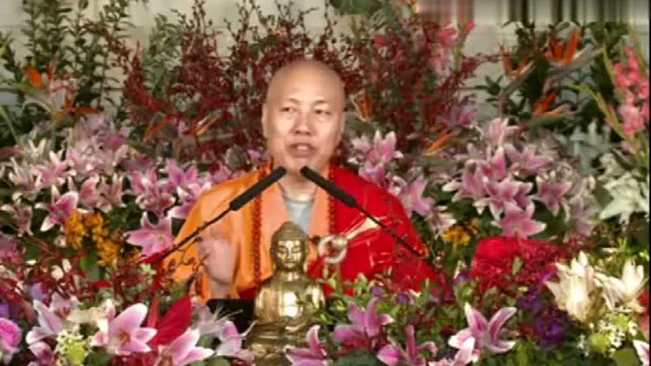 大安法师现场答疑_高清1080P在线观看平台_腾讯视频