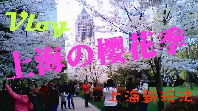 自在上海Vlog#8 樱花季 陆家嘴中心绿地 吴昌硕纪念馆