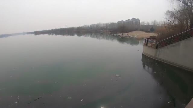 潍坊有个鸢都湖,还有一条白浪河,带你看看沿岸风景