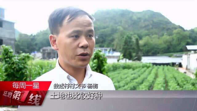 张高峰:凝心聚力治环境 打造绿色家园我先行