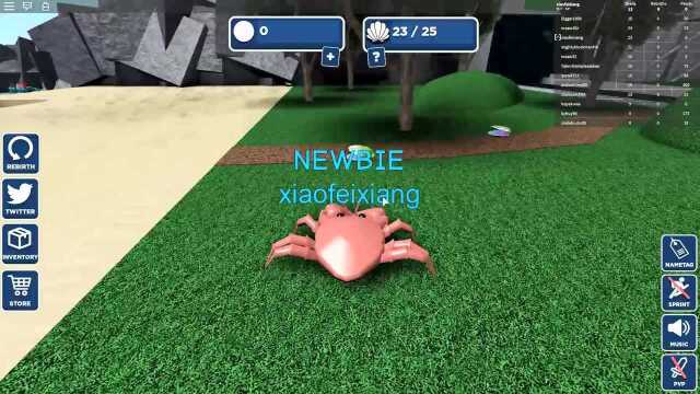 小飞象解说Roblox螃蟹模拟器 我才是这片沙滩的螃蟹王 乐高小游戏