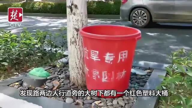 东湖路人行道树下配了450个大红桶,注意!这不是垃圾桶