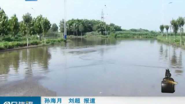 石家庄高邑:建了污水处理厂,为何迟迟不使用?