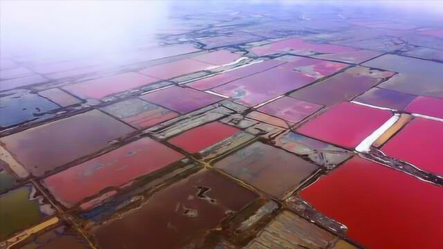 美成调色板!山西运城盐湖雨后色彩斑斓,死海似画