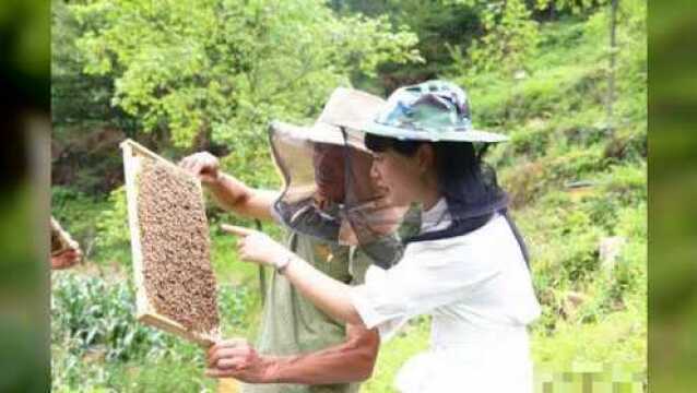 石狮市开店经商十余年,帕那女孩袁小梅回乡圆梦