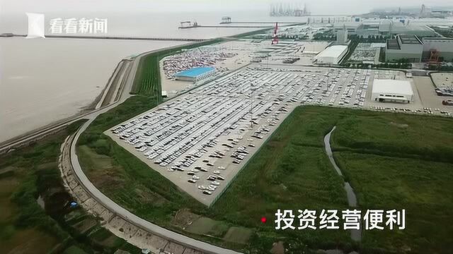 中国上海自由贸易试验区 临港新片区