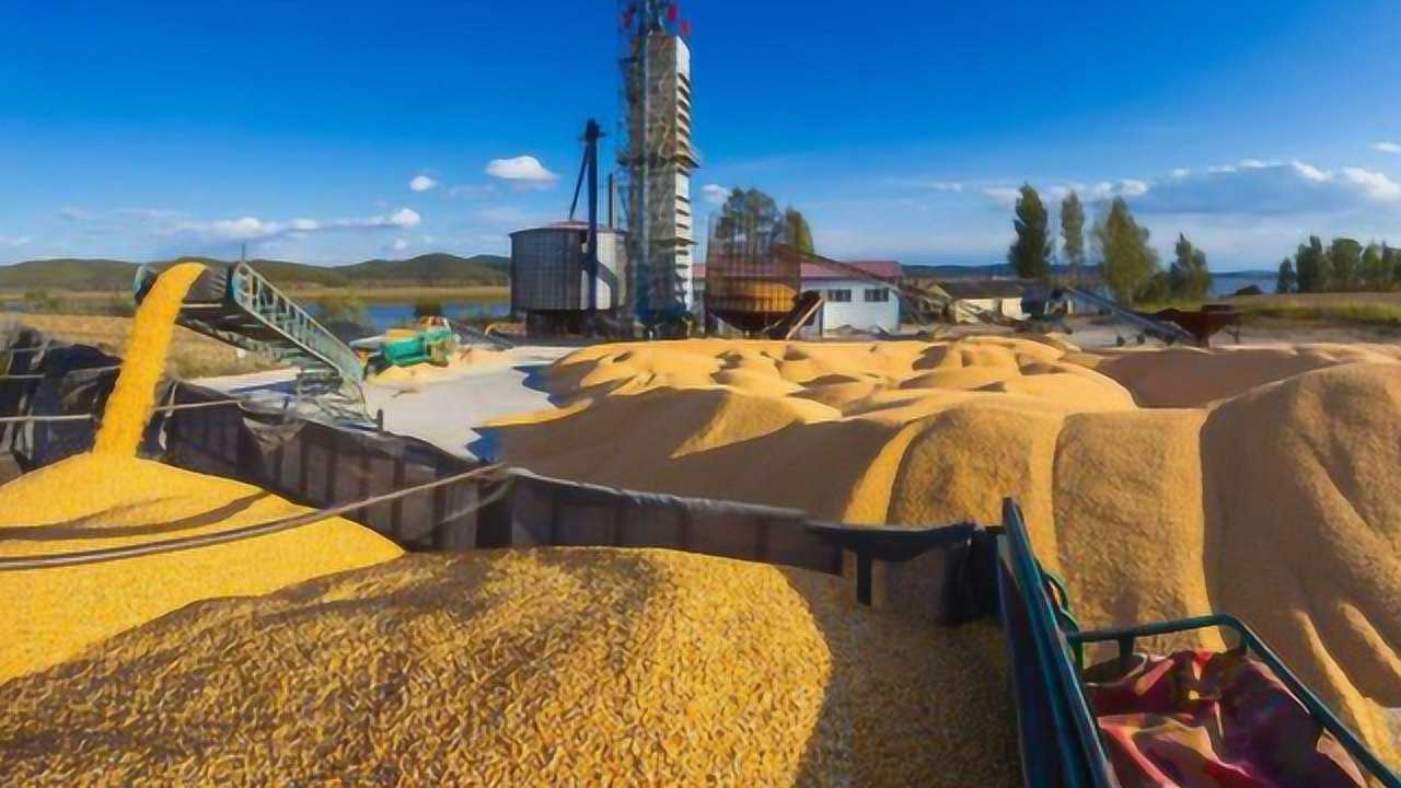 同样是人口大国印度能向全球出口粮食为何我国还需要进口