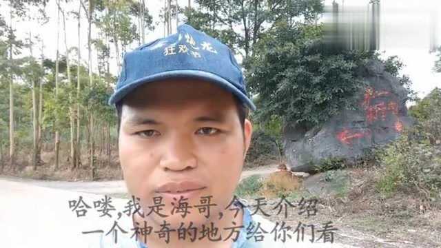 桂南山区有名的悬崖大墓,狮子拜龙王还是龙头挂灯,来个师兄看看