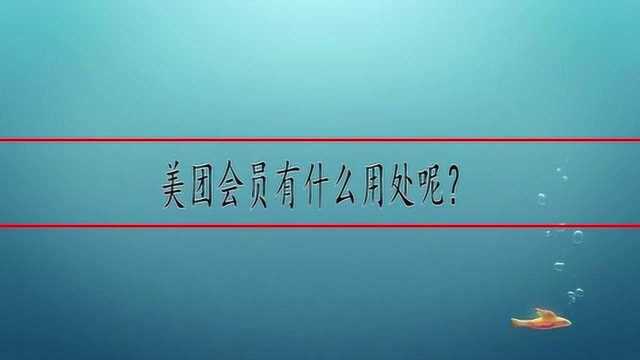 美团会员有什么用处呢?