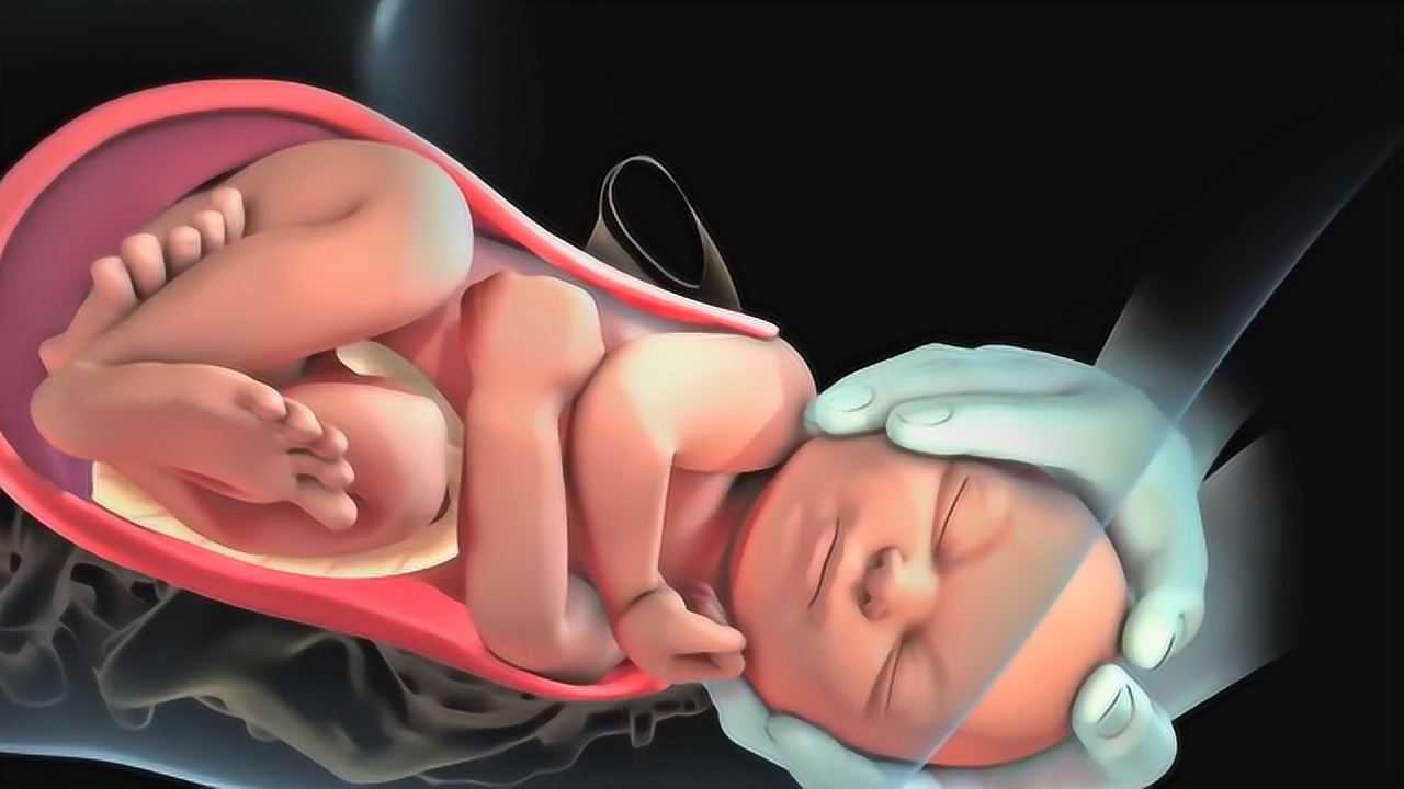 腾讯视频-中国领先的在线视频媒体平台,海量高清视频在线观看