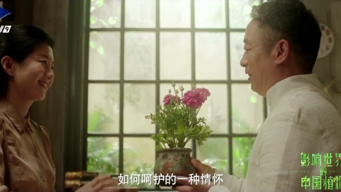 《影响世界的中国植物》宣传片—讲述篇