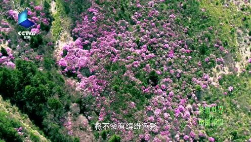 《影响世界的中国植物》宣传片—王石
