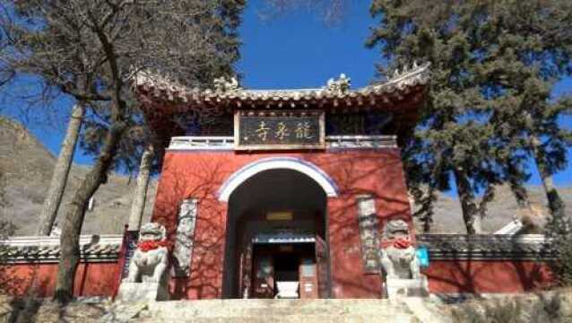 你以为龙泉寺只是一个寺庙?为何清华北大学子都到这排队出家?