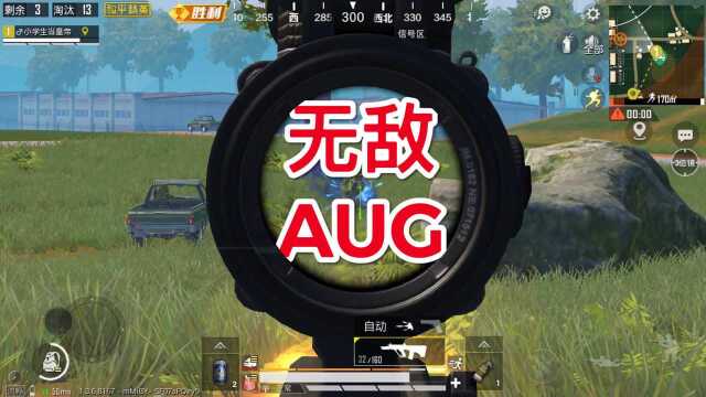 决赛圈aug了解一下?