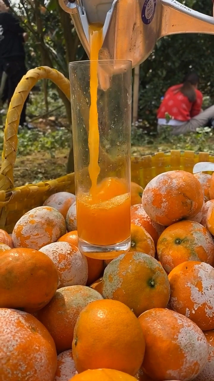 脏脏柑的正确榨汁方式