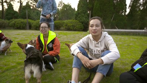 犬道文化中级训犬师训练营纪录片《绝不放弃》第2集