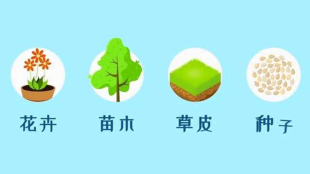 遵守植物检疫法律法规 是每个公民应尽的义务