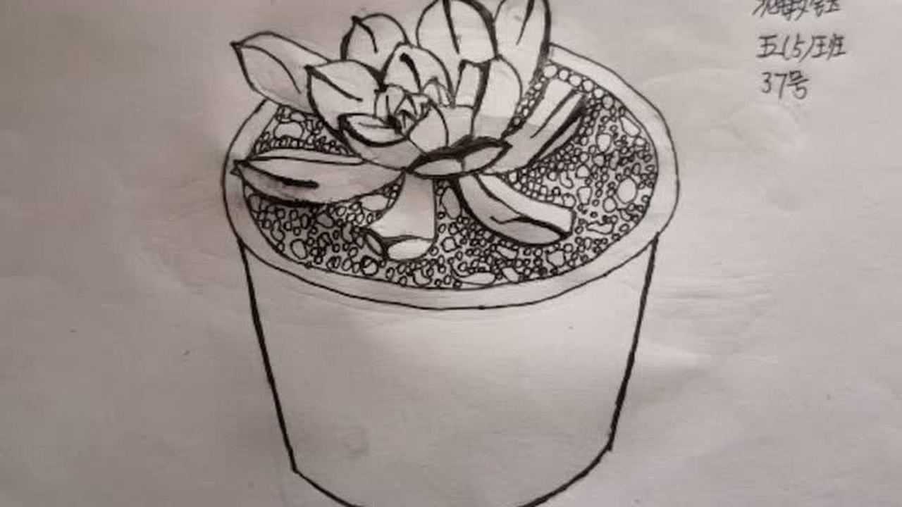 五年级《植物写生》