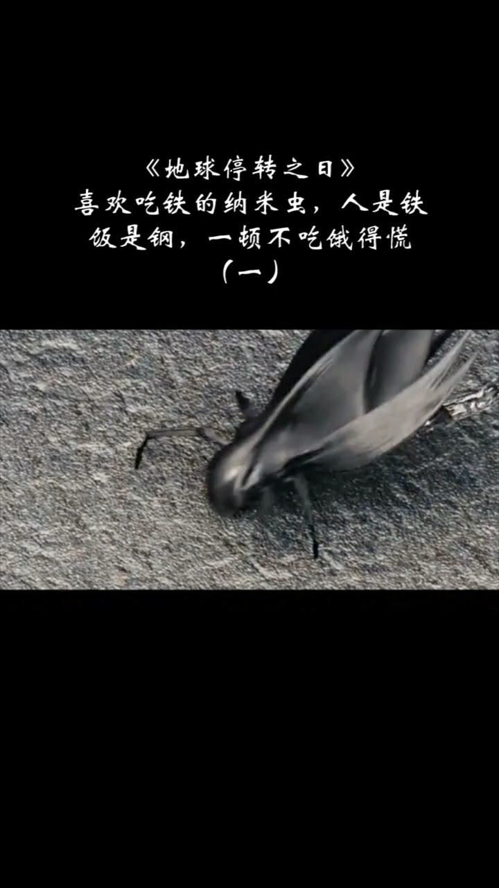 喜欢吃铁的纳米虫,人是铁饭是钢啊_腾讯视频