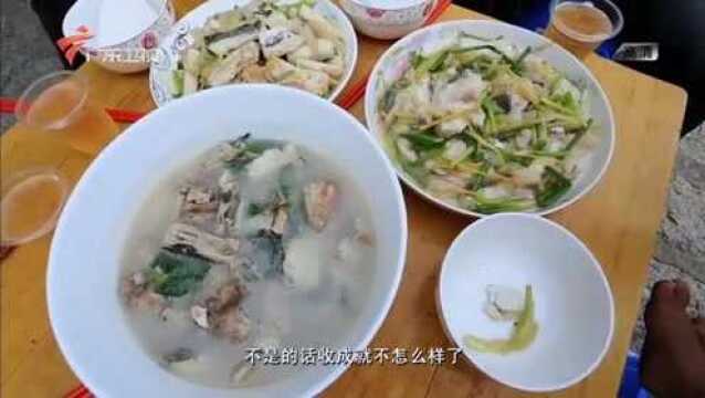 老广的味道:汕尾独特做法“咸麻鱼”,麻鱼鲜香,味道好极了