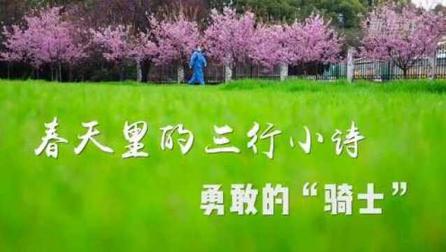 春天里的“三行小诗”丨勇敢的“骑士”