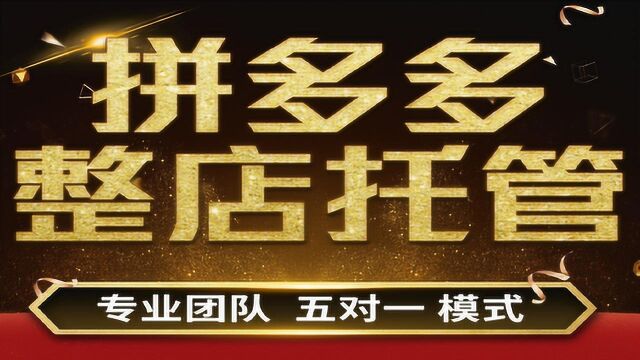 拼多多运营课程教程低成本场景推广玩法实现投产盈利玩转场景投放高产出比