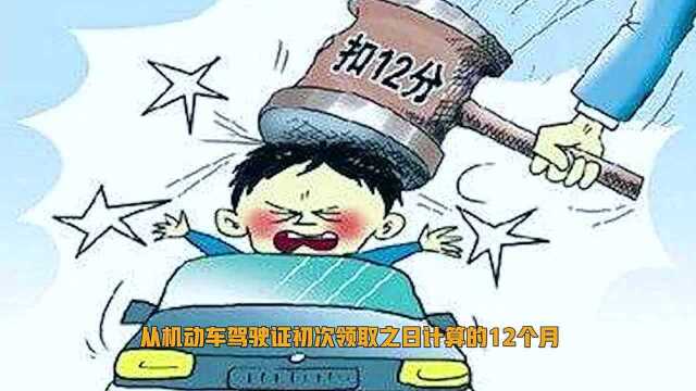 驾照扣满12分该怎么办?老司机讲解全面处理流程,你学会了吗?