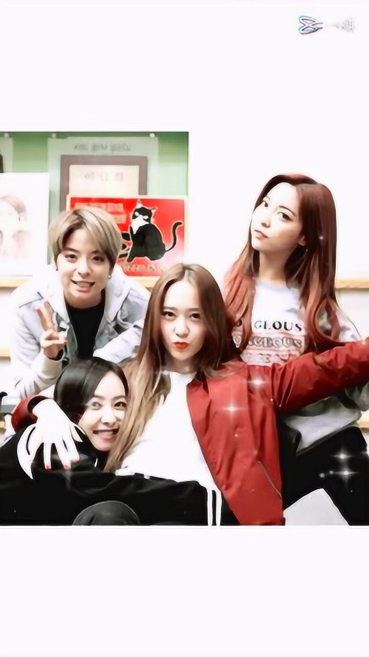 宋茜郑秀晶朴善怜luna刘逸云amber一不做二不休美丽极了