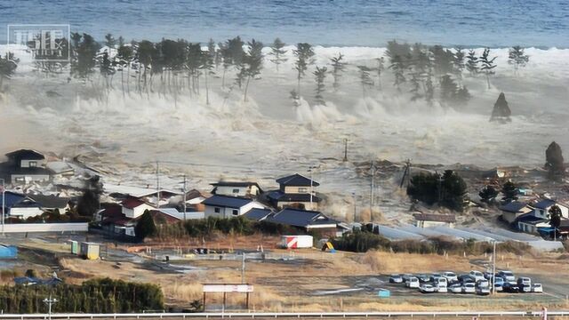 人类史上第四大强震,9级特大地震重创日本,遇难者死因令人意外