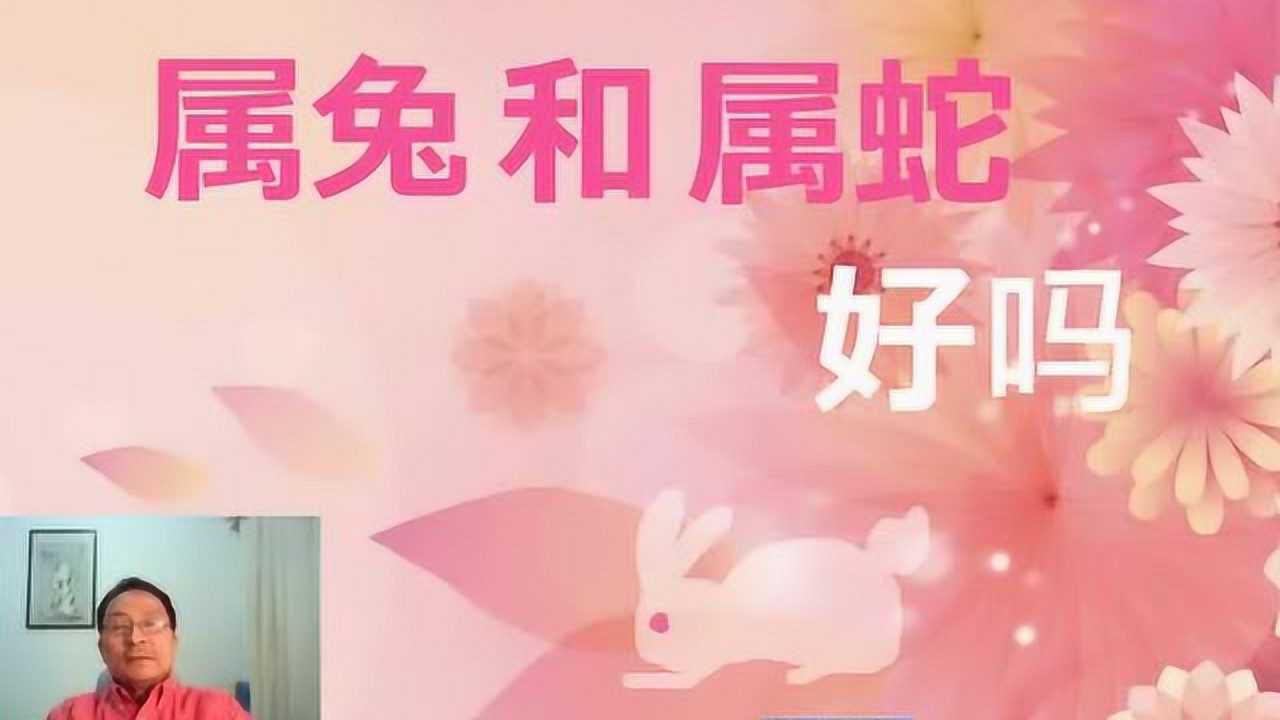 属兔人和属蛇人,在一起好吗