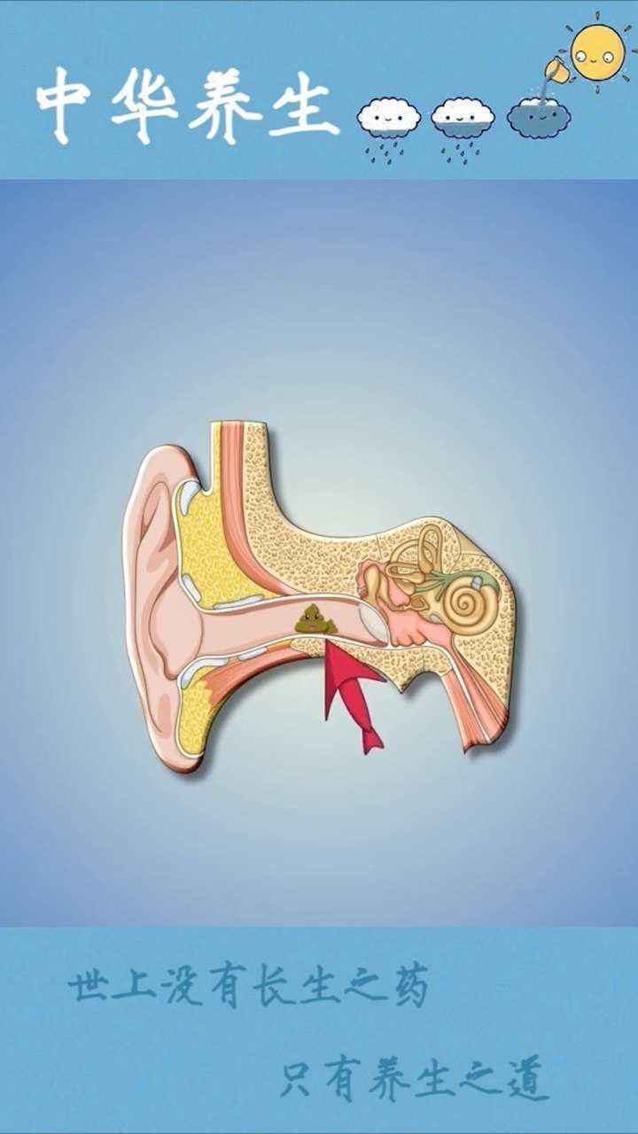 一颗耳屎的独白