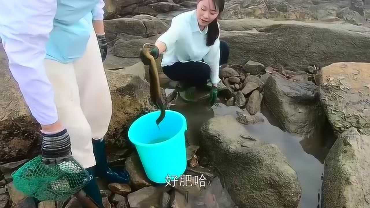 猪猪去帮皮皮在大水坑赶海,各种大货接连被发现表示皮皮抽的水坑太