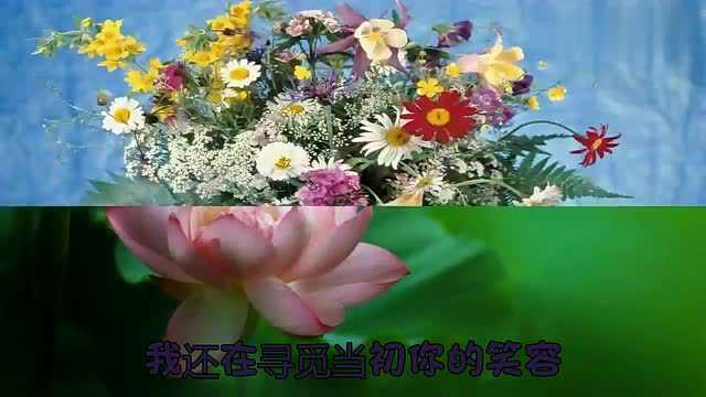 这首经典的《雨花石》,曲调宛转悠扬,听到停不下来