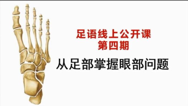 足语系列课程第四期——从足部掌控眼部问题