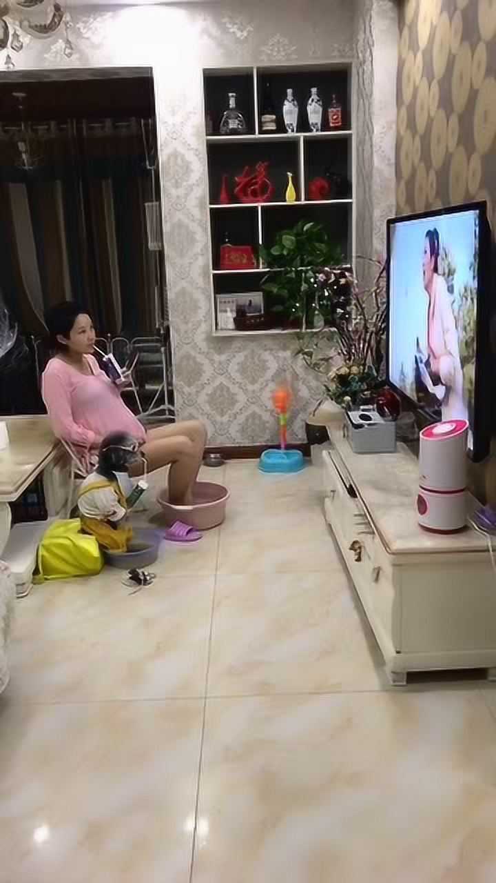 家里的老婆和宠物,一起喝牛奶看电视,网友:向往的生活
