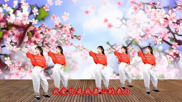 优美好看广场舞《哥妹情缘》一首好听的情歌,格格、高安演唱