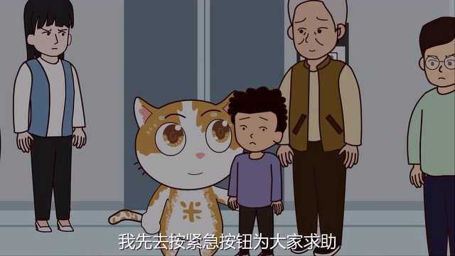 米猫电梯篇(下)