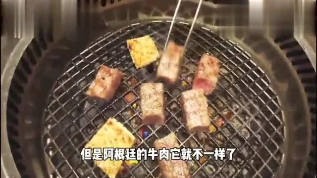 阿根廷的牛肉它香不香?