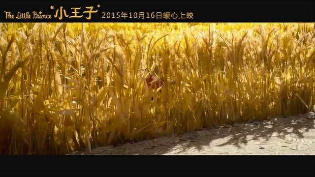 小王子 花絮13:配音特辑之周迅 (中文字幕)