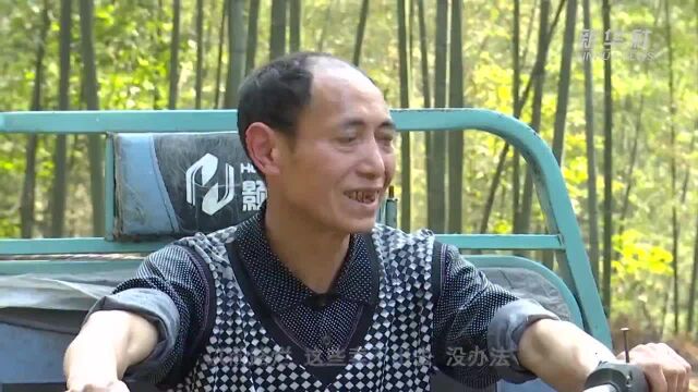 竹林深处“小康路” 路通情长富山乡