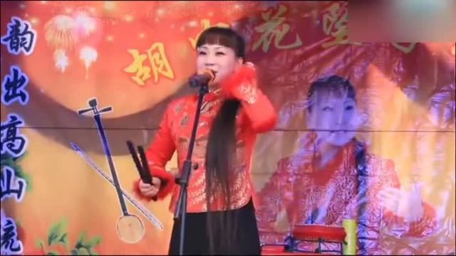 戏曲大全河南坠子:民间美女坠子皇后胡中花演唱经典名段百听不厌