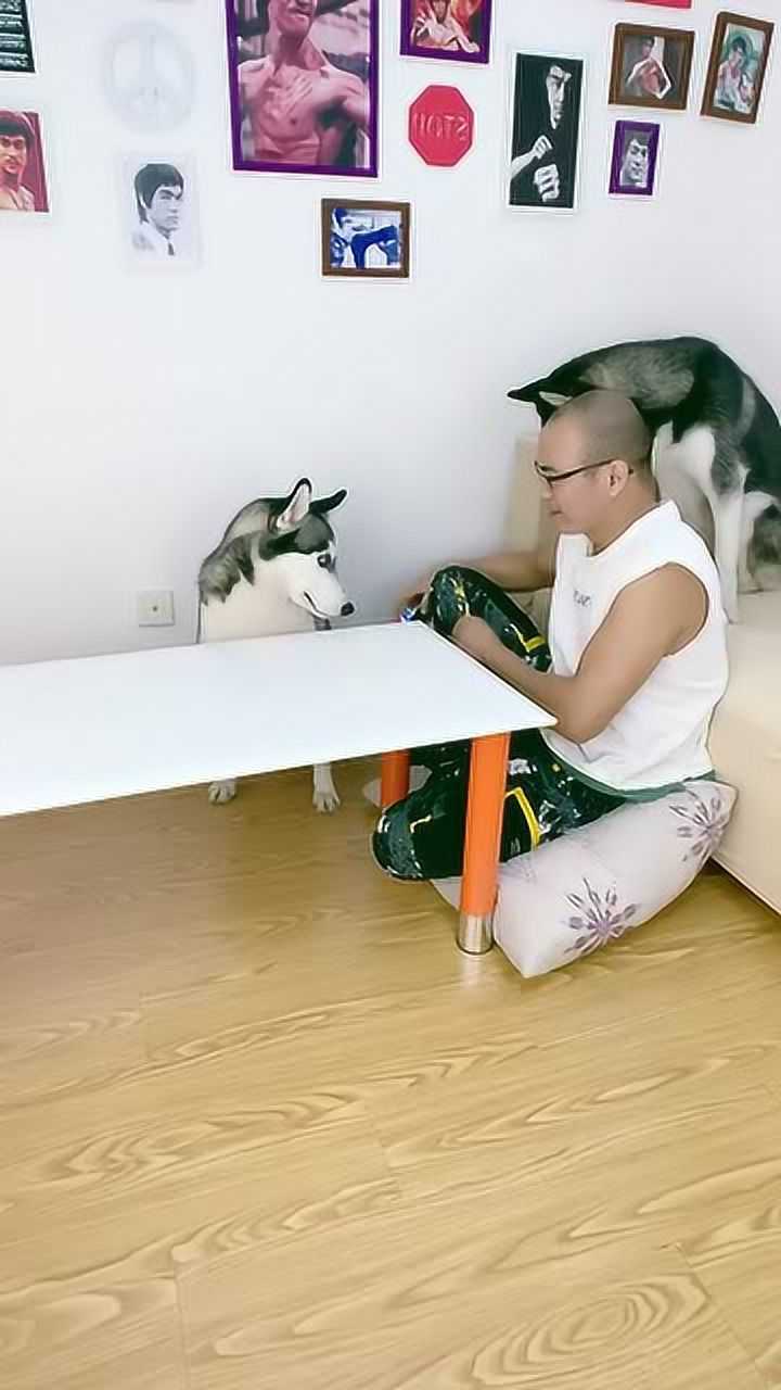 在家闲着无聊和二狗子玩游戏最后我心态崩了啊