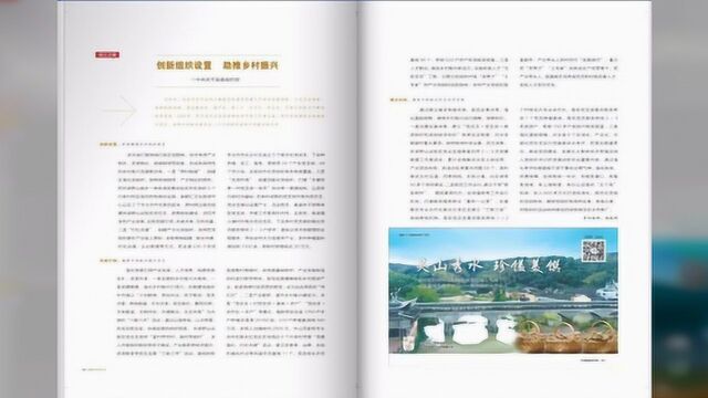 龙岩武平:创新组织设置 助推乡村振兴