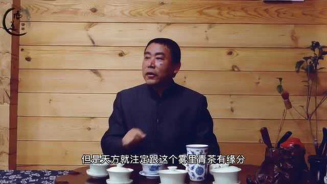 天方茶业董事长郑孝和先生说茶——天方雾里青(五)