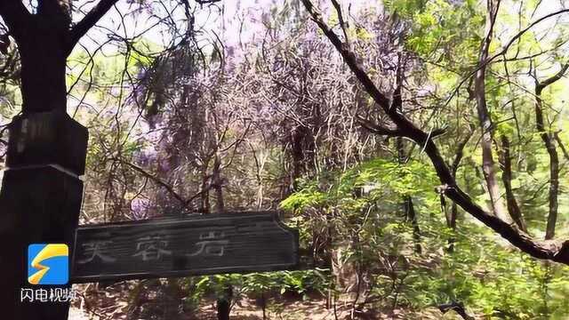 山水皆美景 草木皆有情!探访曲阜石门山景区 体验“穿越”千年