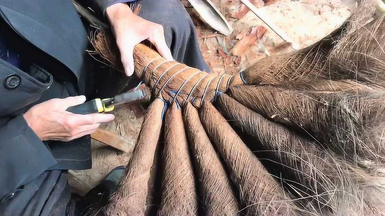 农村传统手工艺,棕扫把的扎法,传承千年,如今即将面临永久失传