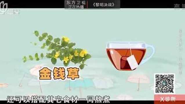 春季排结石的“草”,可惜很多人都不知道