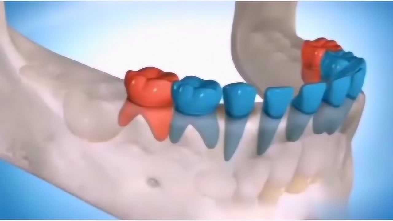 3d演示儿童换牙过程让大家近距离感受换牙过程