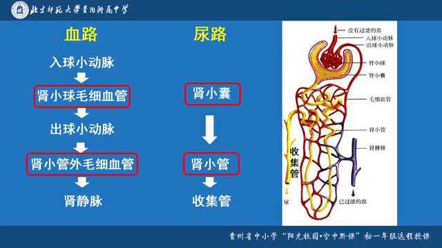 QK20200509初一年级生物004